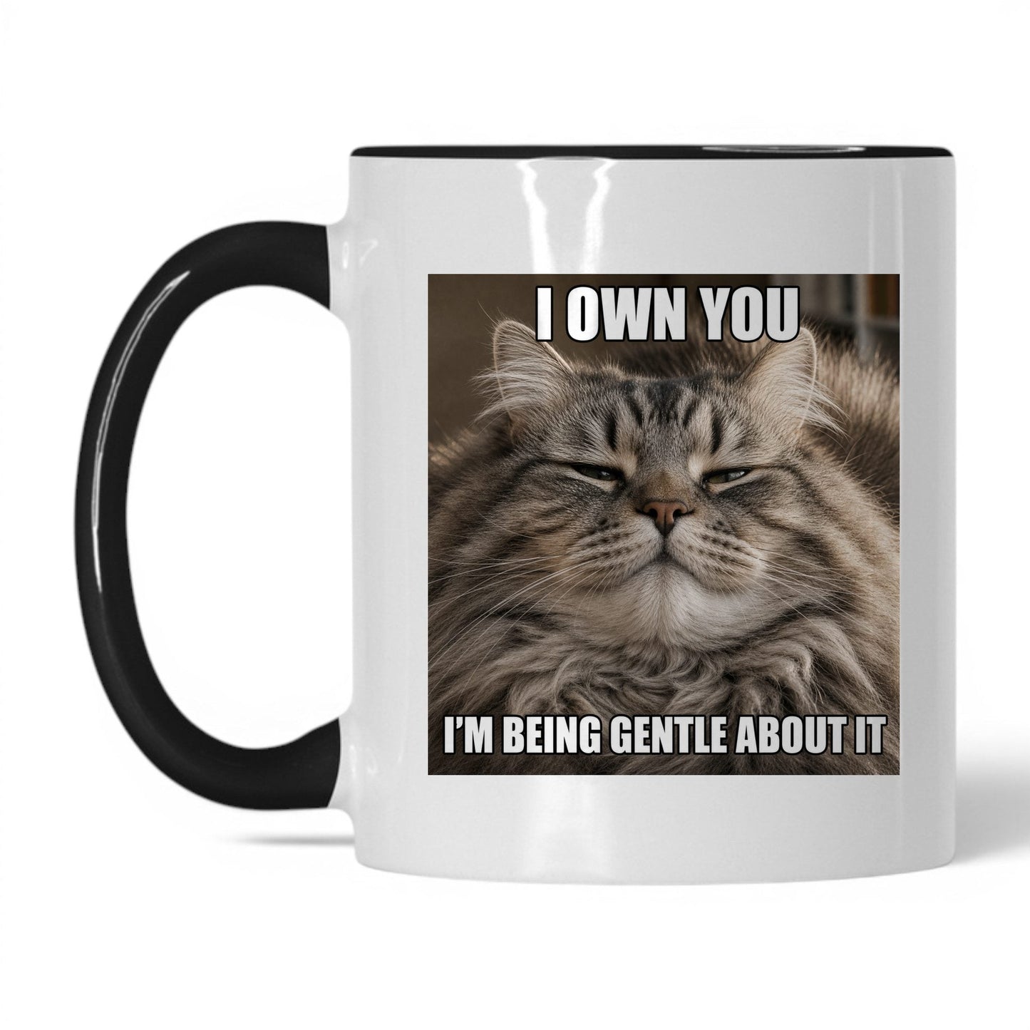 I Own You Cat Coffee Mug