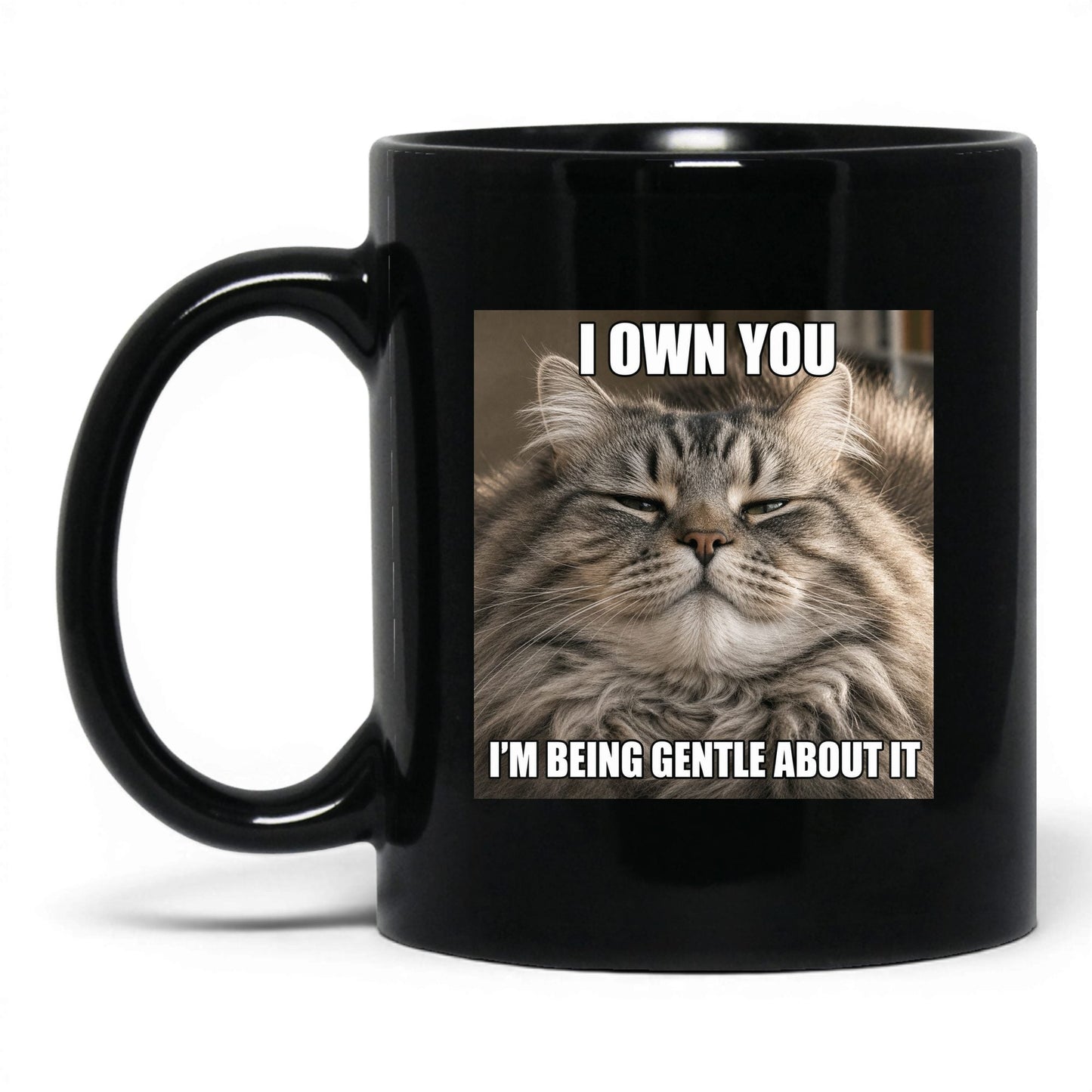 I Own You Cat Coffee Mug