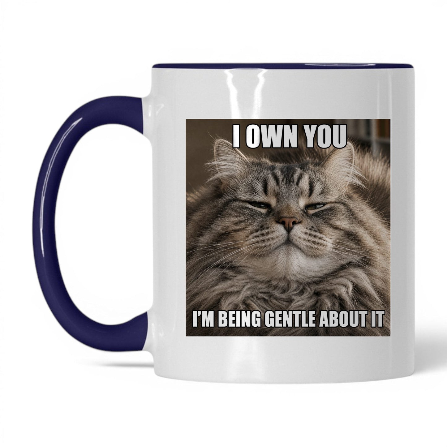 I Own You Cat Coffee Mug