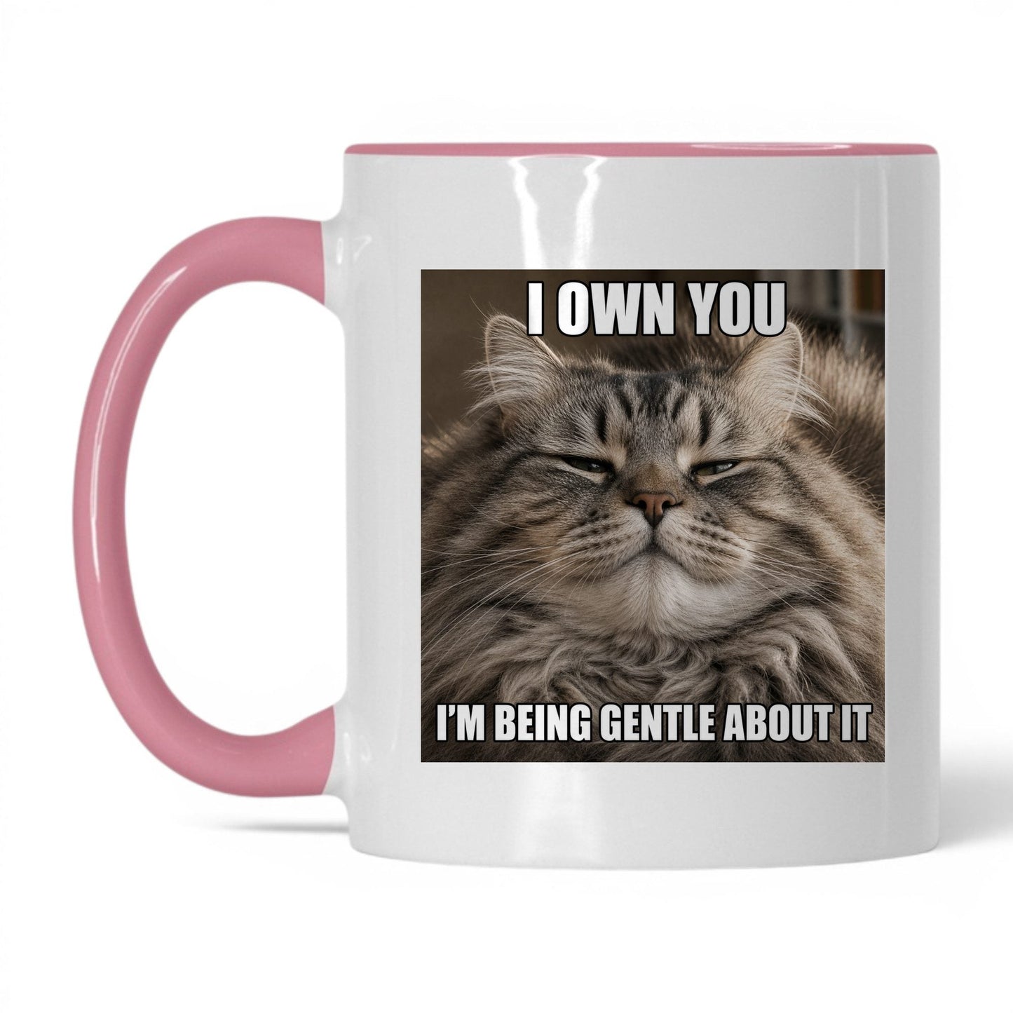 I Own You Cat Coffee Mug