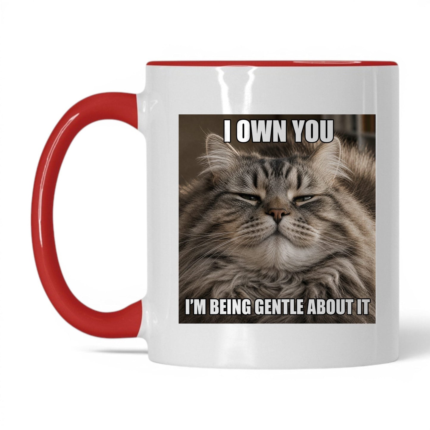 I Own You Cat Coffee Mug