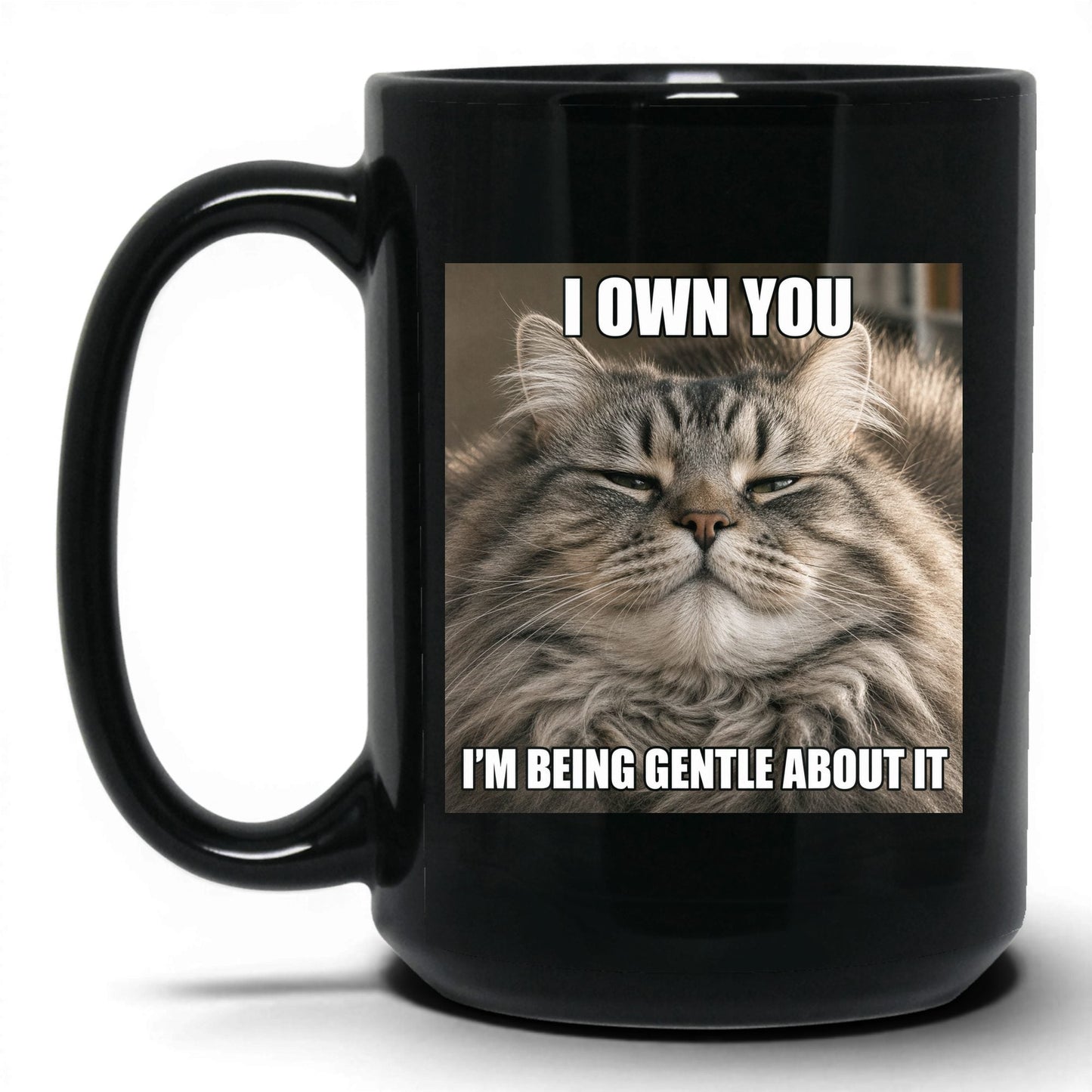 I Own You Cat Coffee Mug