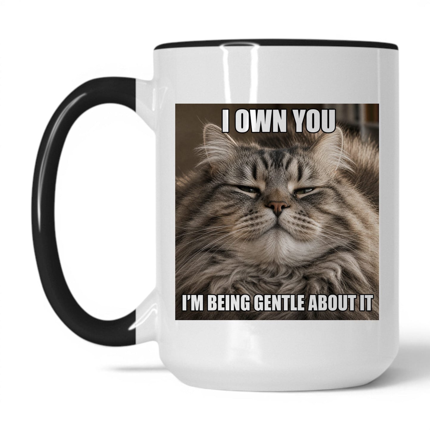 I Own You Cat Coffee Mug