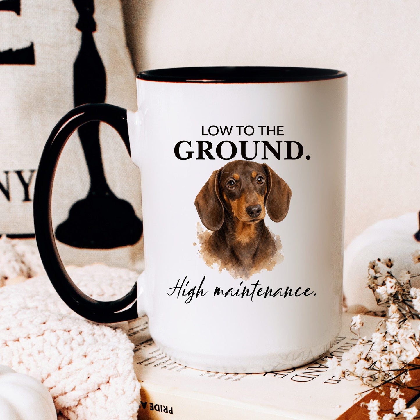 Low to the Ground. High Maintenance coffee mug — hero