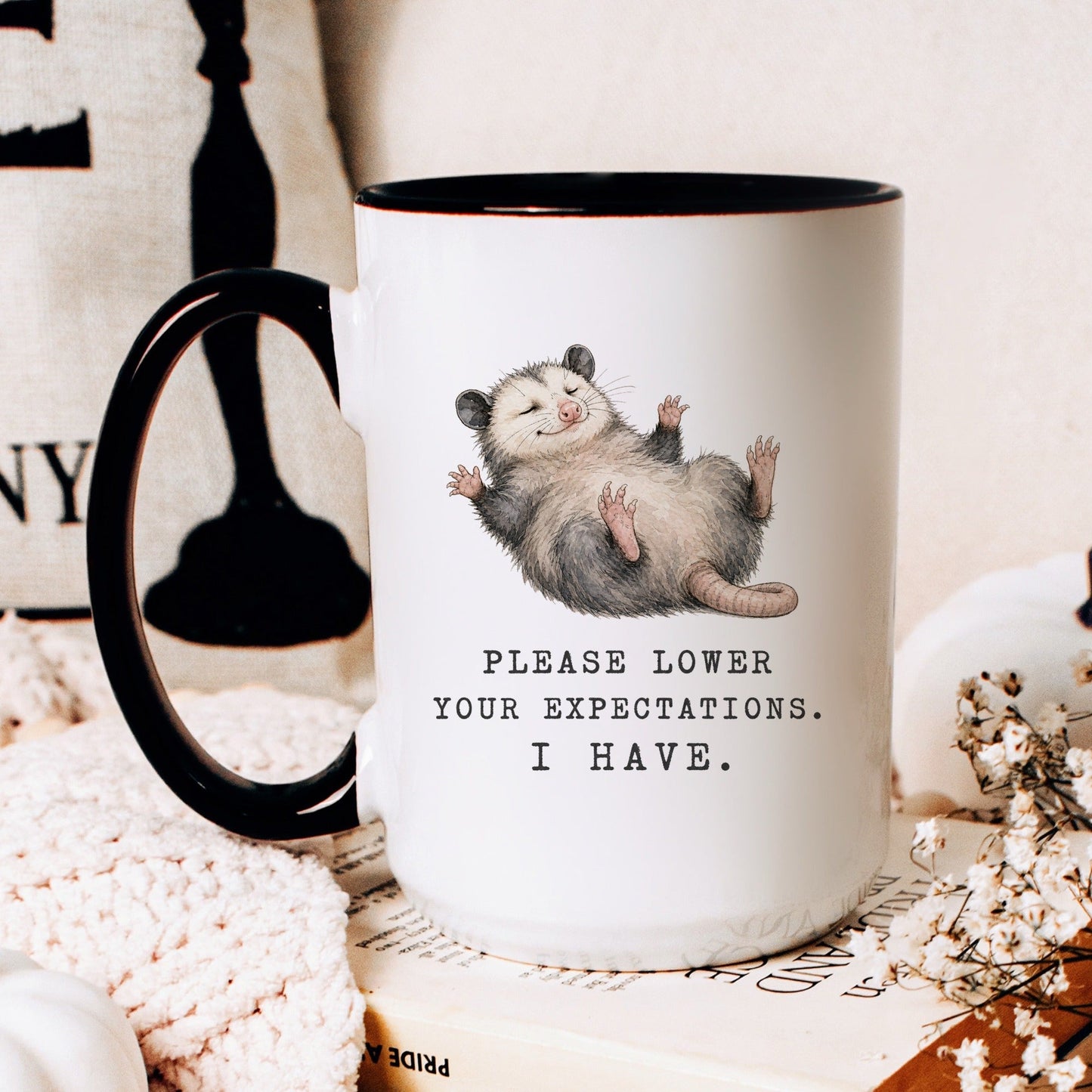 Lifestyle Photo #2 Lower Your Expectations Opossum Mug