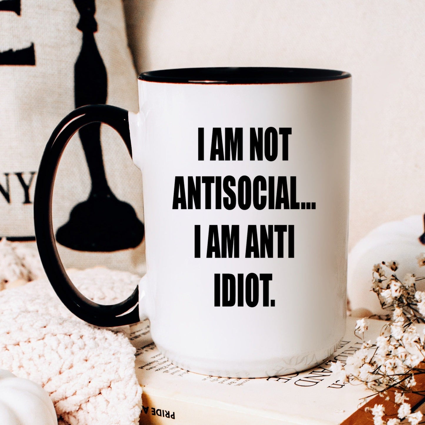 Lifestyle Photo #2 Anti-Idiot Not Antisocial Mug