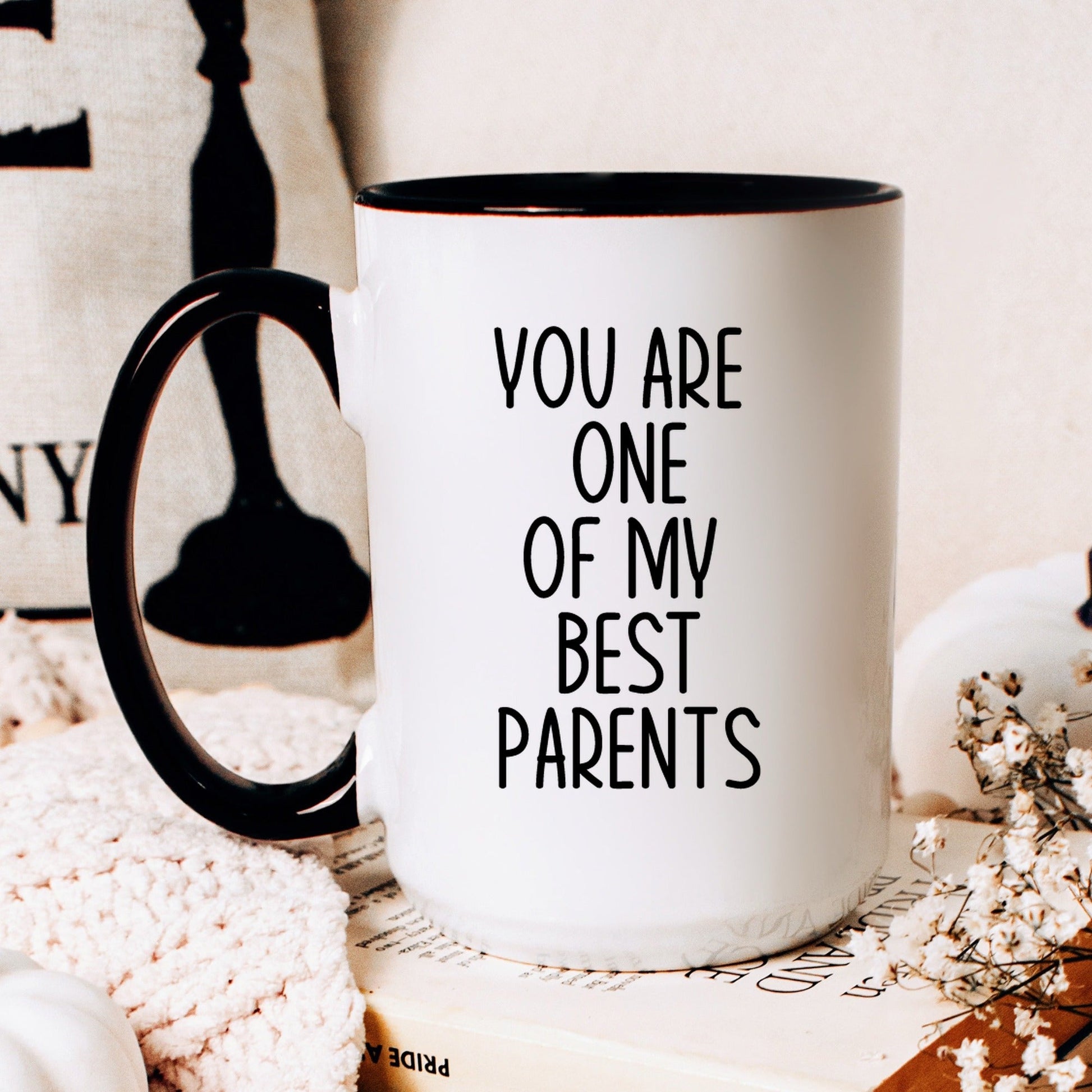 Funny best parent coffee mug lifestyle
