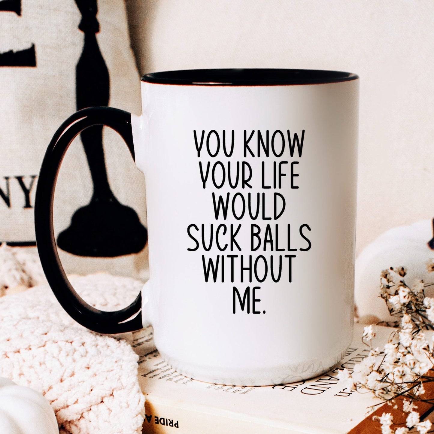 Lifestyle Photo #2 Your Life Would Suck Balls Mug