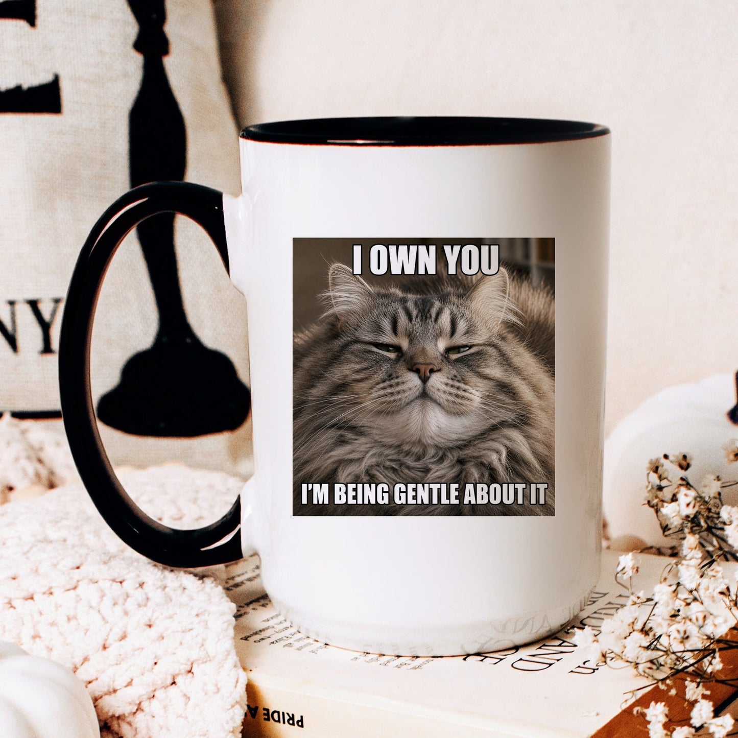 I own you tabby cat coffee mug