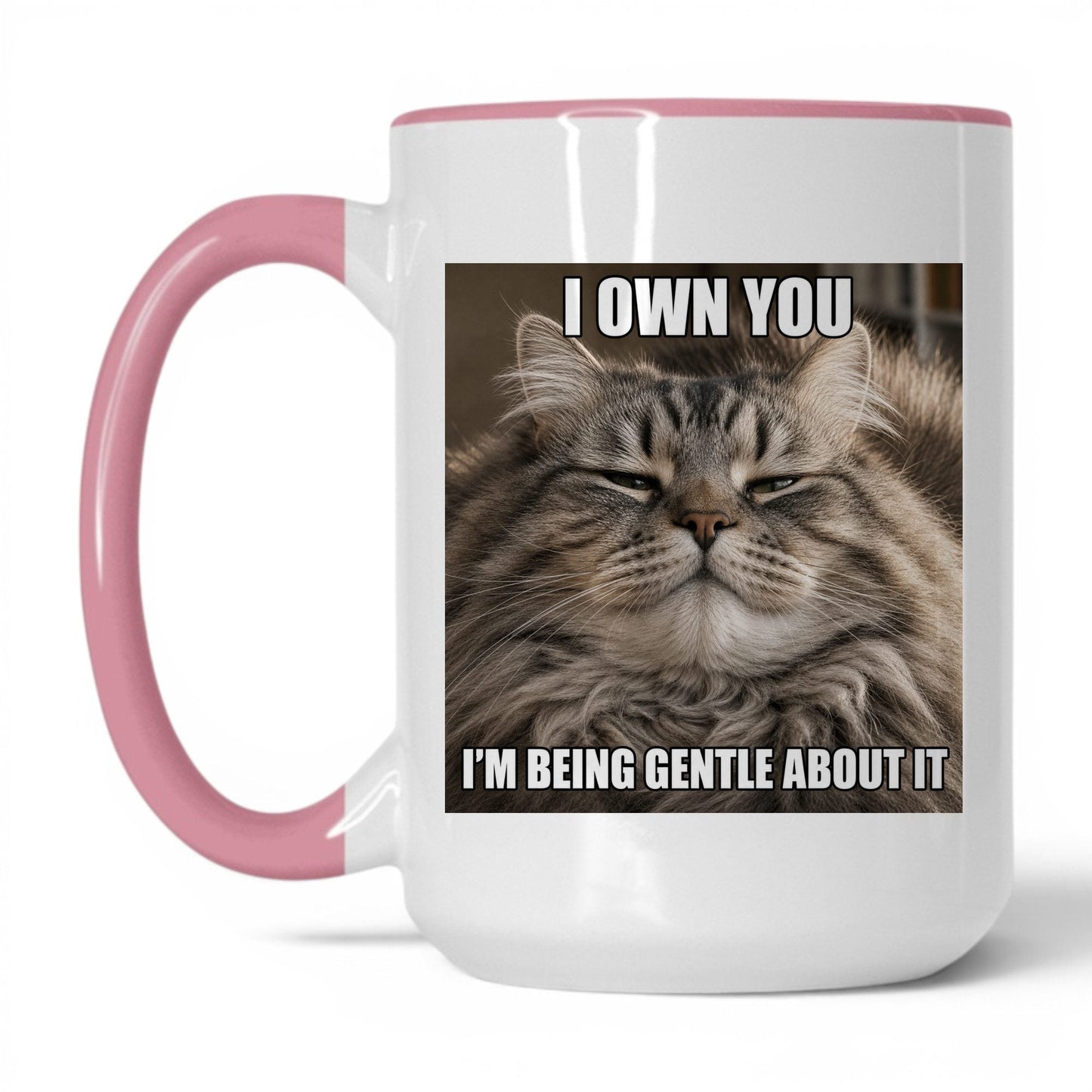 I Own You Cat Coffee Mug