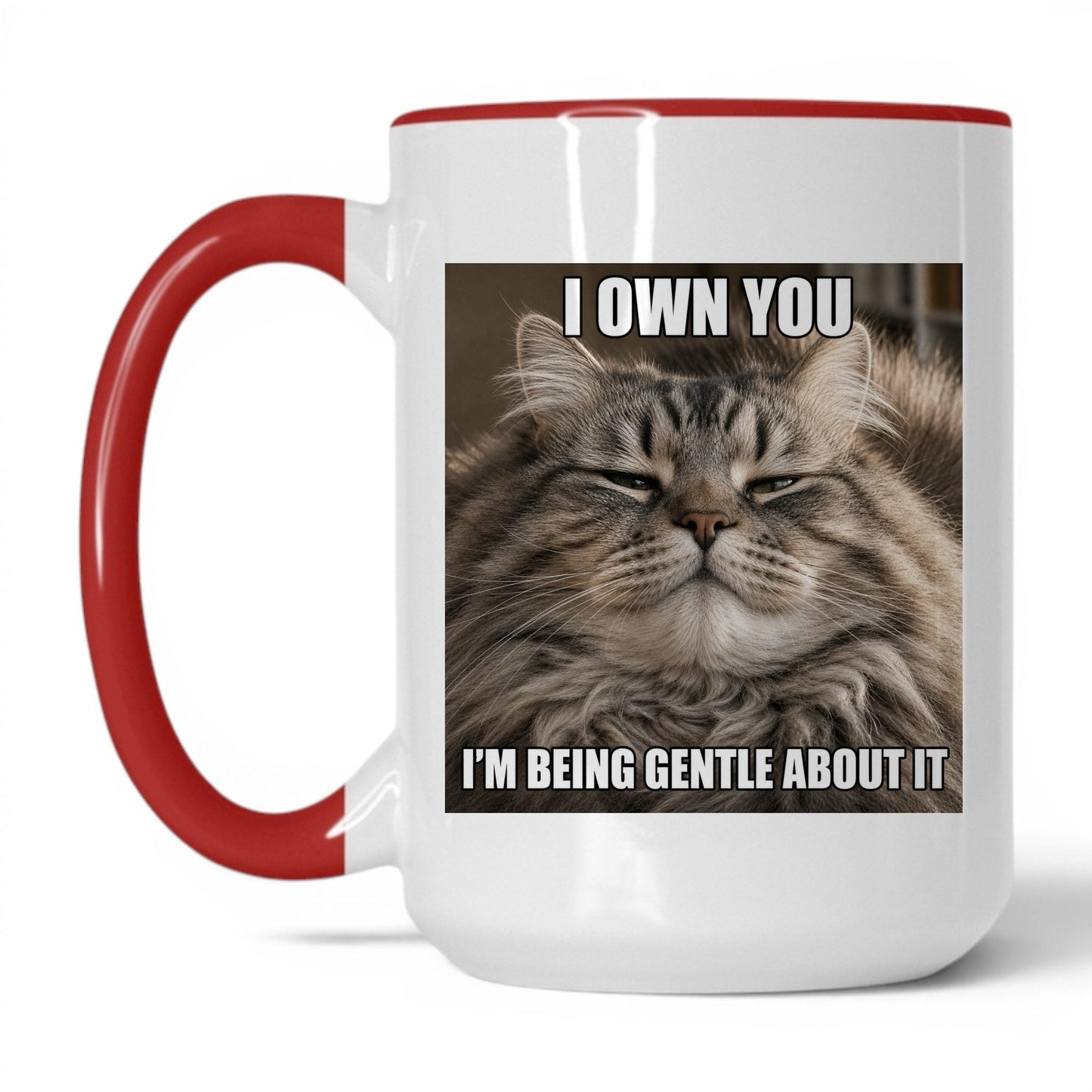 I Own You Cat Coffee Mug