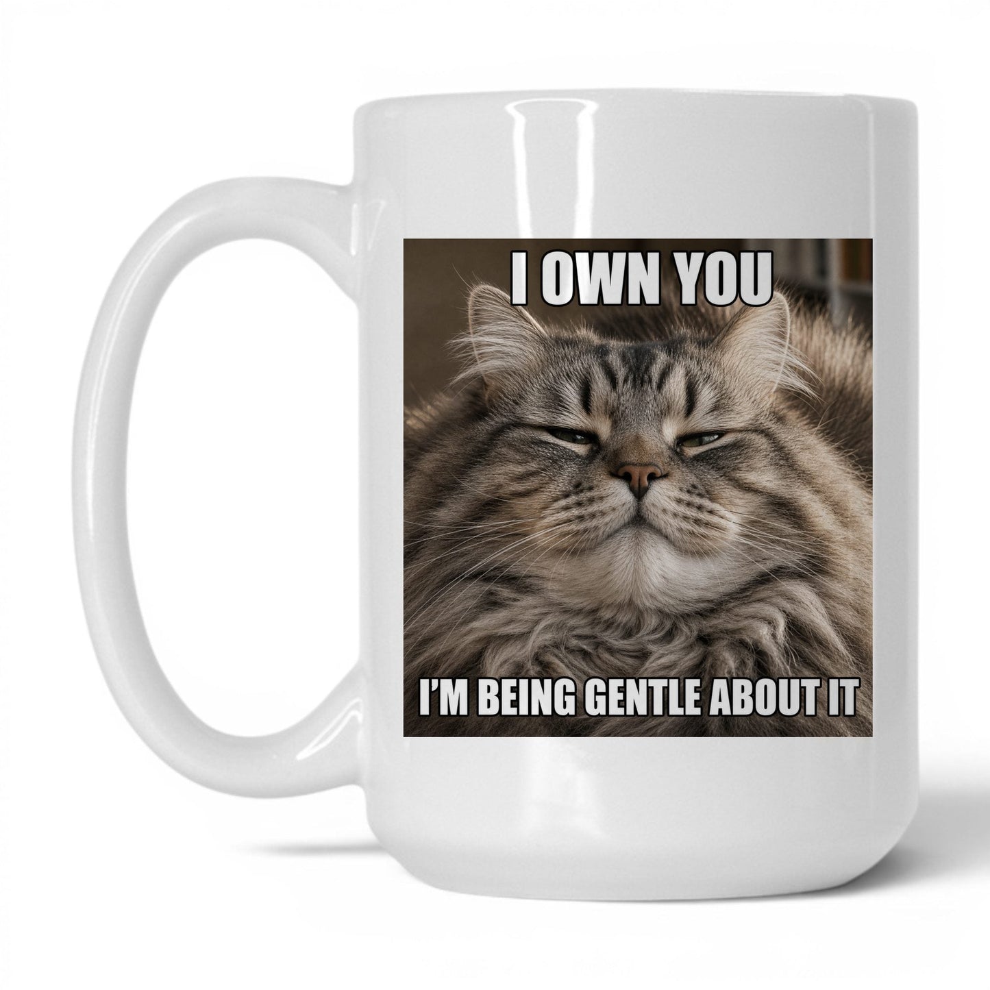 I Own You Cat Coffee Mug