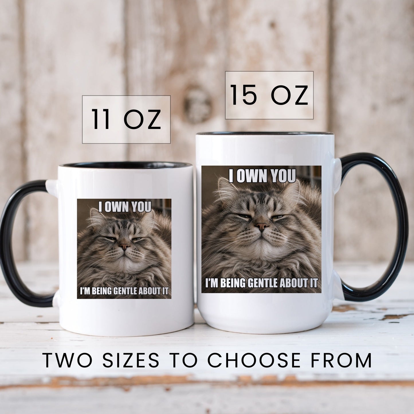 I own you tabby cat coffee mug