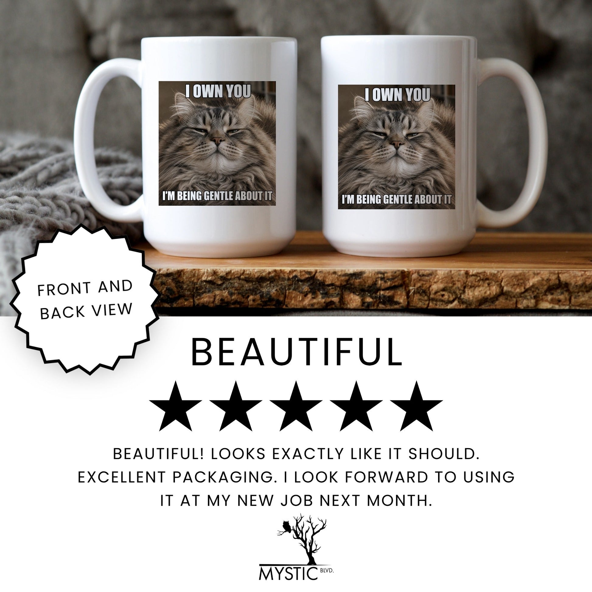 I own you tabby cat coffee mug